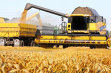Bursă. Grup Şerban Holding, cel mai mare business antreprenorial din agricultură listat la BVB, profit cu 44% mai mic în primele nouă luni. Veniturile, minus 26%