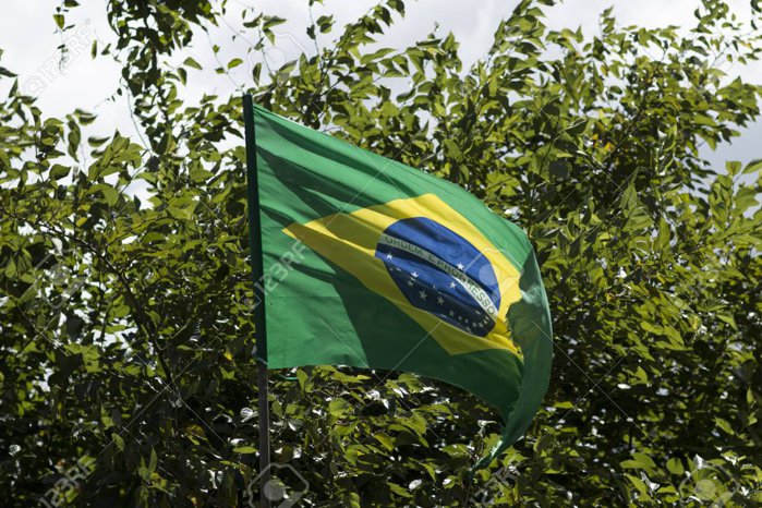 Lula câştigă al patrulea mandat de preşedinte al Braziliei, după o victorie la limită în faţa lui Flavio Bolsonaro. Datoria publică şi un Congres dominat de dreapta îi complică noul mandat