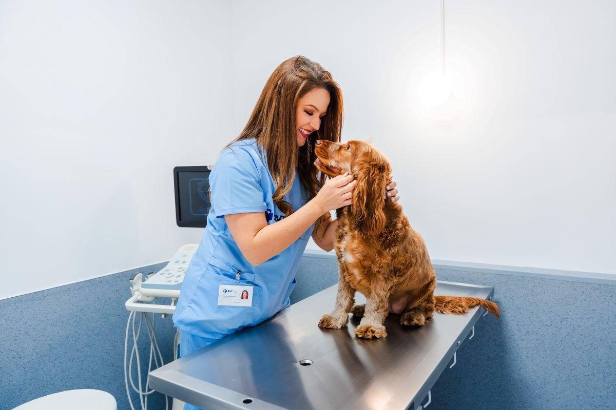 Spitalul Veterinar Transilvania, deţinut de Alexandru...