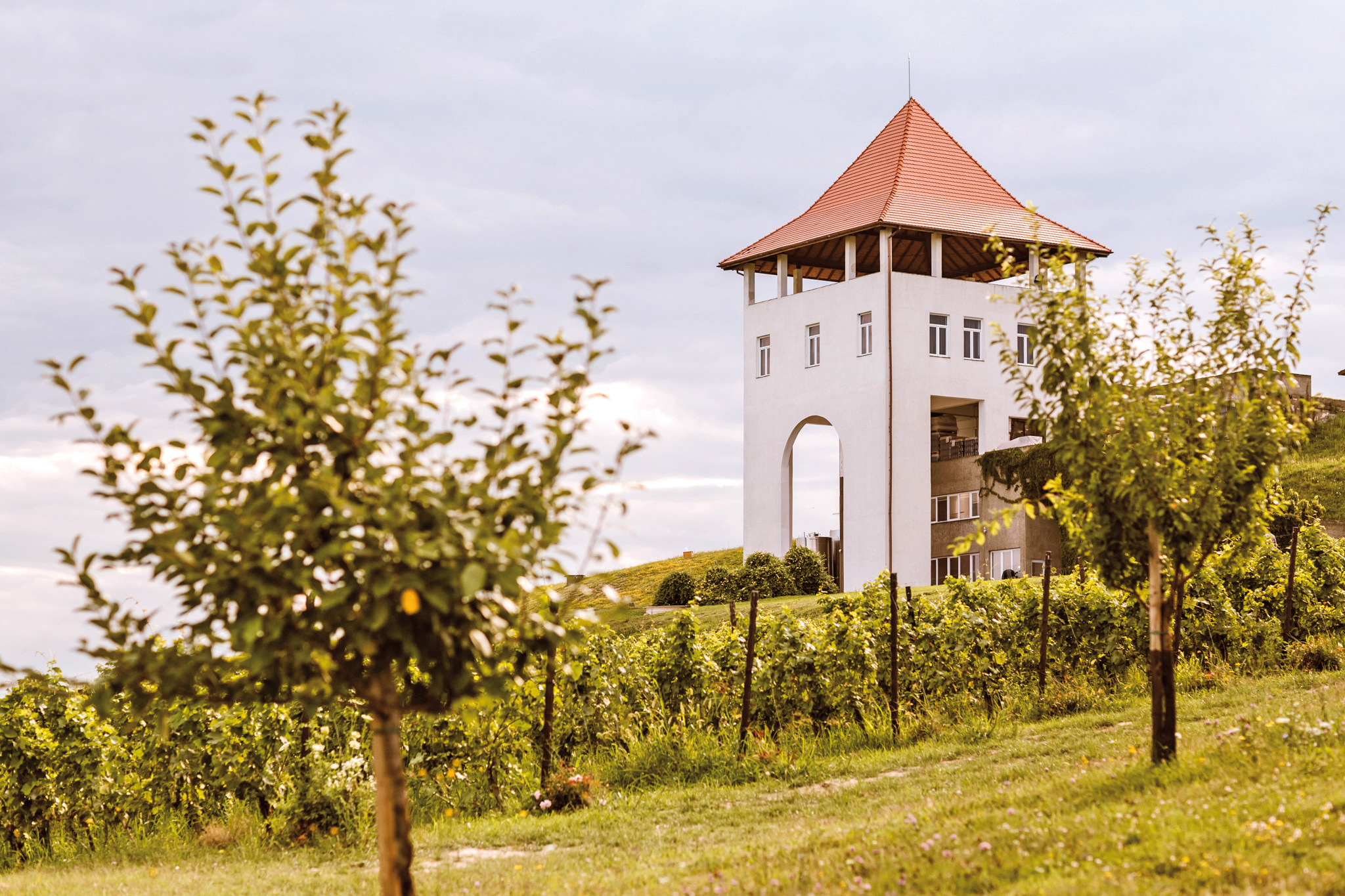Business MAGAZIN. Heiner Oberrauch, un antreprenor sud-tirolez care deţine brandul de articole outdoor Salewa, a cumpărat un deal din Transilvania şi cu 3,5 mil. euro a făcut unul dintre cele mai cunoscute vinuri: Villa Vinèa