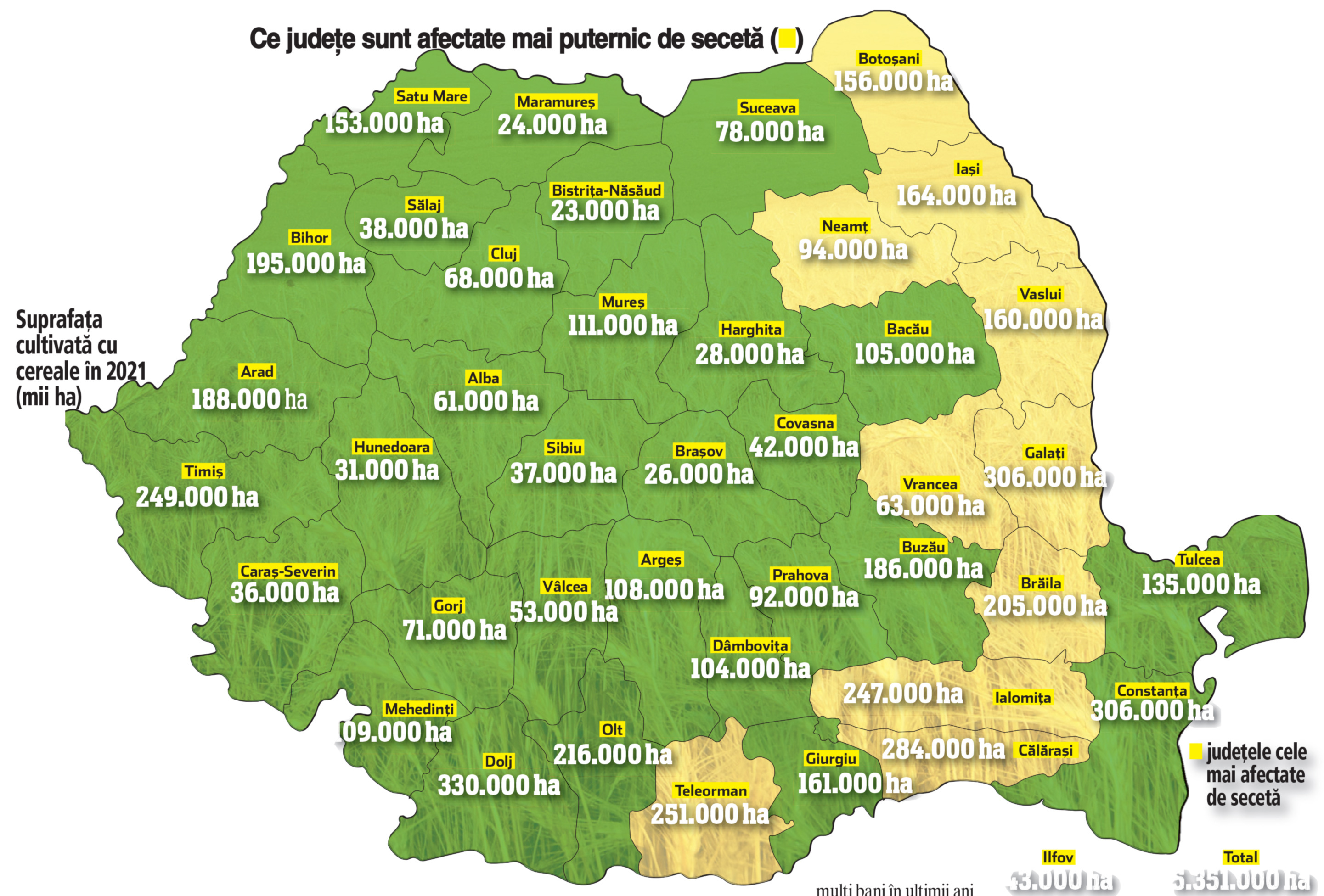 Se repetă anul 2020? Arşita şi seceta pot înjumătăţi producţia de porumb şi floarea-soarelui a României. Fermierii estimează o producţie de porumb de circa 8 mil. tone, după ce estimările iniţiale erau de peste 14 mil. tone