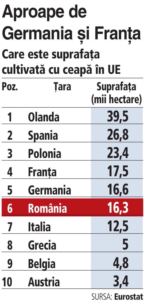 Agro Tag. România, locul şase la suprafaţa cultivată cu ceapă în UE, are importuri de 40 mil. euro, de 30 de ori mai mari decât exporturile