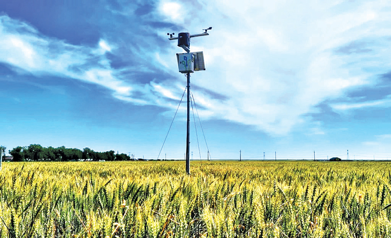 Furnizor de soluţii IoT pentru agricultură: într-o fermă de 100 de hectare de grâu, prin utilizarea datelor de la senzori, fermierul poate face economii anuale de până la 5.000 euro