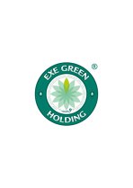 EXE Green Holding SRL