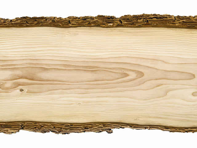 Afacerile fabricii de prelucrare a lemnului Kastamonu din Reghin au crescut cu 24% în 2021, la 169 de milioane de euro. „Creşteri de preţ au înregistrat toate materiile prime: lemn, hârtie, chimicale“