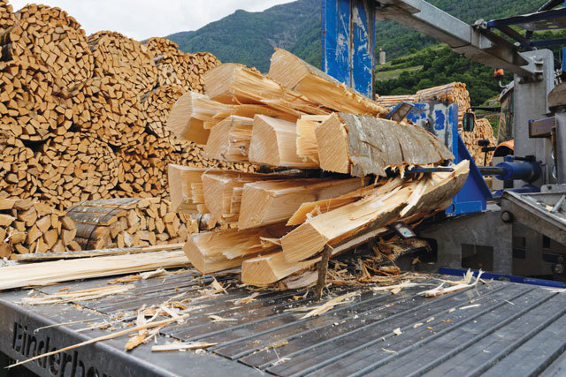 De ce au vândut austriecii de la HS Timber fabrica din Sebeş către Ziegler? „Aprovizionarea cu materii prime a fabricilor noastre devine din ce în ce mai dificilă. Limitările pieţei din România şi costurile prea ridicate ale importurilor de materii prime au condus la cea mai bună soluţie atât pentru companie cât şi pentru angajaţi“