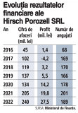 Grafic: Evoluţia rezultatelor financiare ale Hirsch Porozell SRL