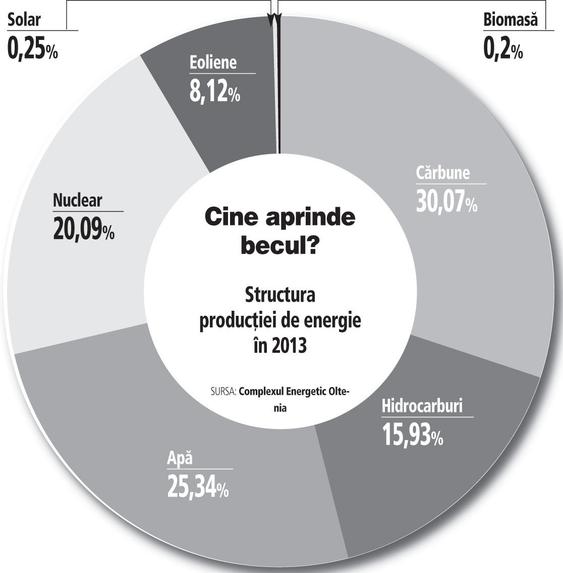 Structura producţiei de energie în 2013