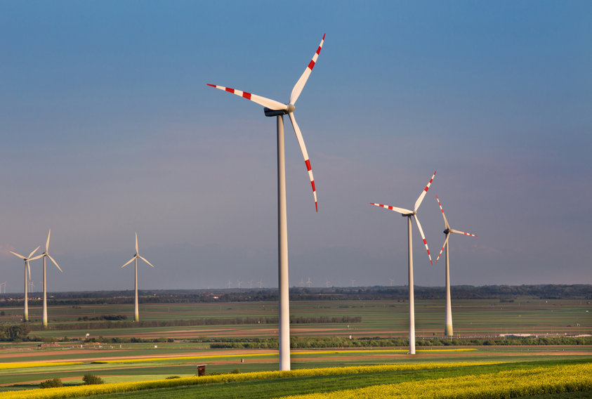 Premier Energy, al treilea mare furnizor de gaze local, face pasul spre verde: compania vrea un producător eolian cu parcuri în Tulcea