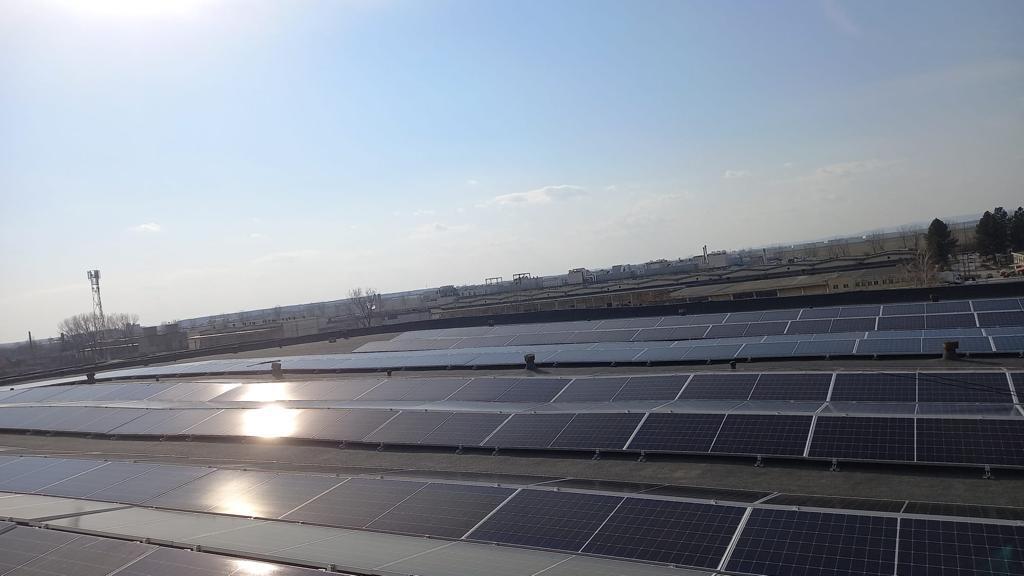RTG Solar Energy, o companie cipriotă, cel mai nou jucător din regenerabile: firma a obţinut avizul pentru un parc solar de peste 40 de milioane de euro în Giurgiu