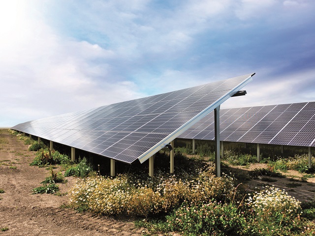 Italienii de la Enel Green Power, primii grei care intră în cel de-al doilea val de energie verde: au avizele pentru două parcuri solare-mamut în Arad. Investiţia poate ajunge la 400 de milioane de euro