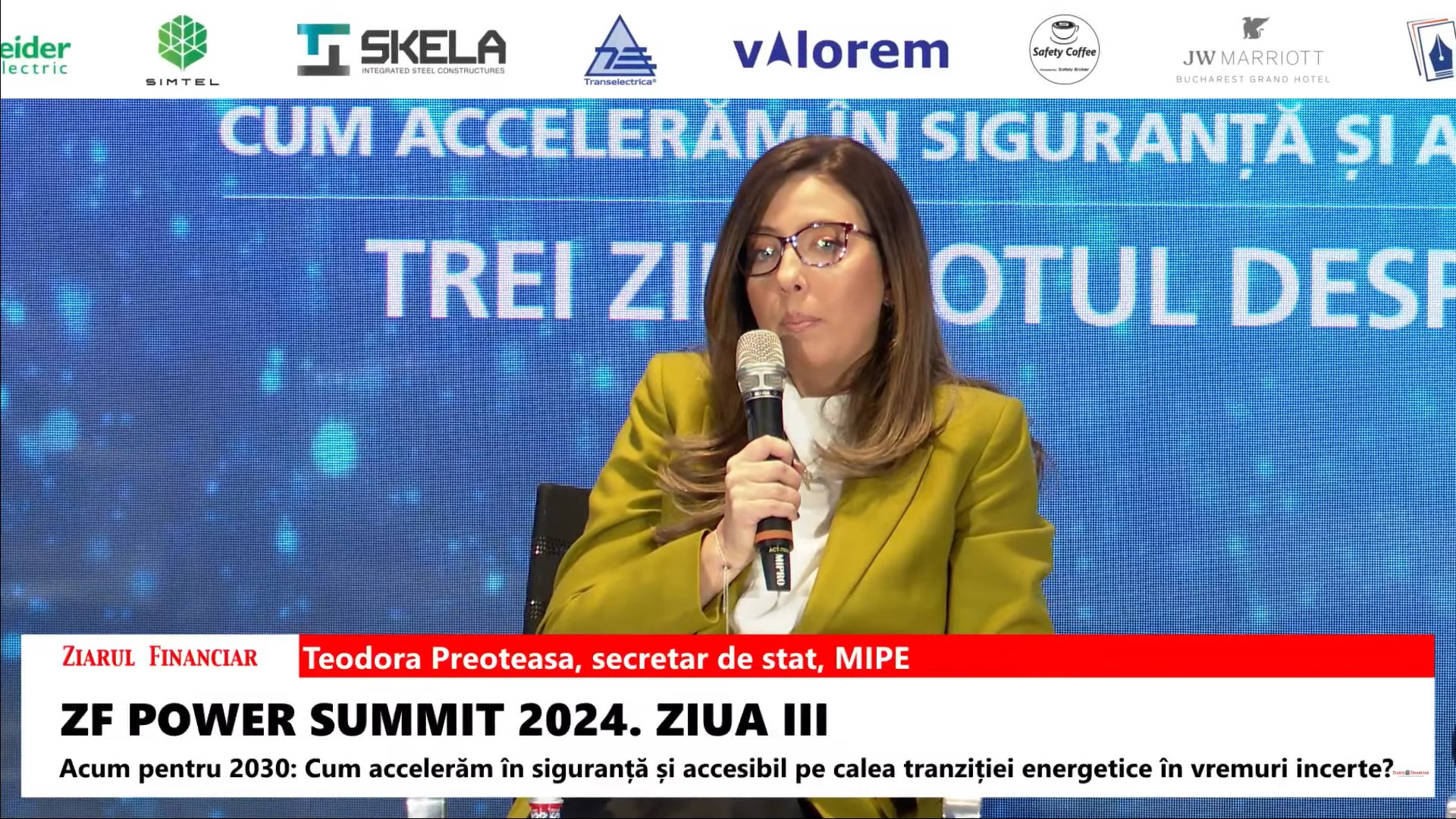 Teodora Preoteasa, MIPE: Cum vom asigura nevoia de panouri fotovoltaice pentru toate măsurile de finanţare pe care le lansăm? Dacă avem întârzieri de peste 1 an la livrare noi vom pierde bani din PNRR