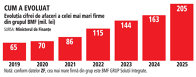 Grafic: Evoluţia cifrei de afaceri a celei mai mari firme din grupul BMF (mil. lei)