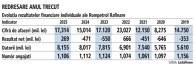 Grafic: Evoluţia rezultatelor financiare individuale ale Rompetrol Rafinare