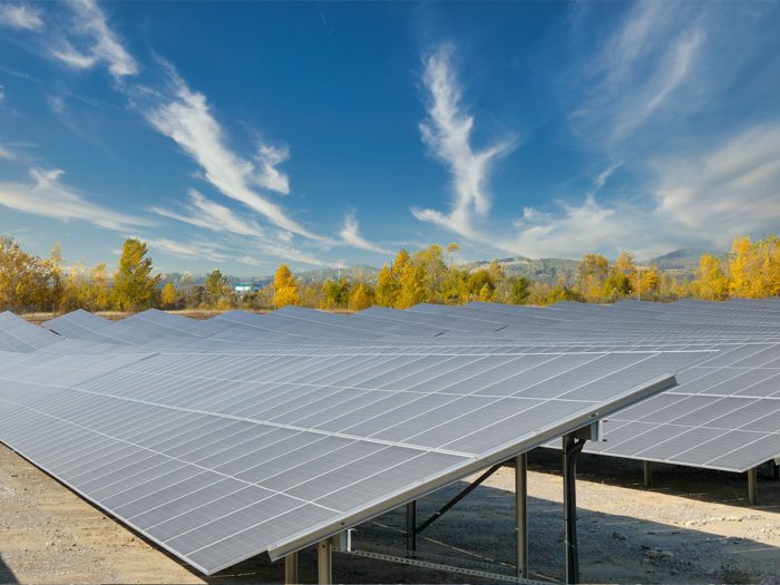 NEPI Rockcastle inaugurează un parc fotovoltaic la Ariceştii Rahtivani. Noul parc, cu o capacitate instalată de 56,2 MW, este al doilea din portofoliul NEPI Rockcastle