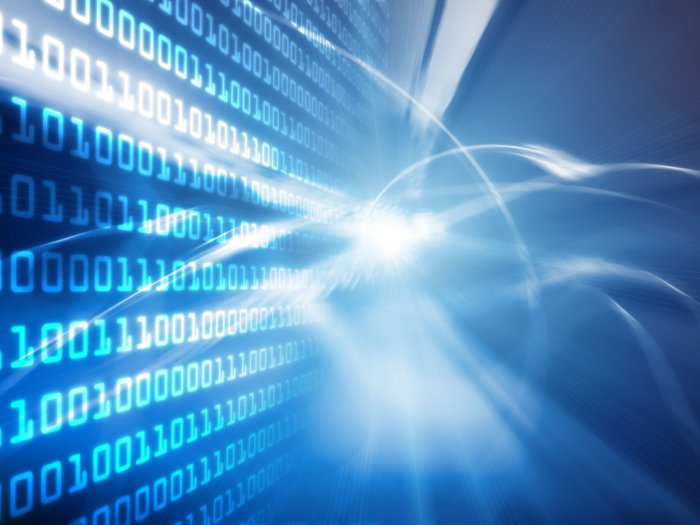 Bright Distribution, distribuitor local de echipamente IT&C, a încheiat 2025 cu un profit net de 6,4 mil. lei, cu 40,3% sub nivelul din 2024