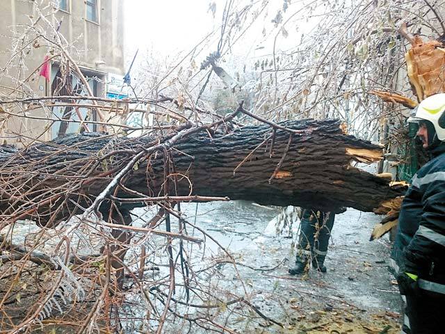 Situaţie fără precedent în Bucureşti: sute de arbori şi crengi s-au rupt şi au căzut din cauza gheţii; troleibuze şi tramvaie oprite, maşini avariate