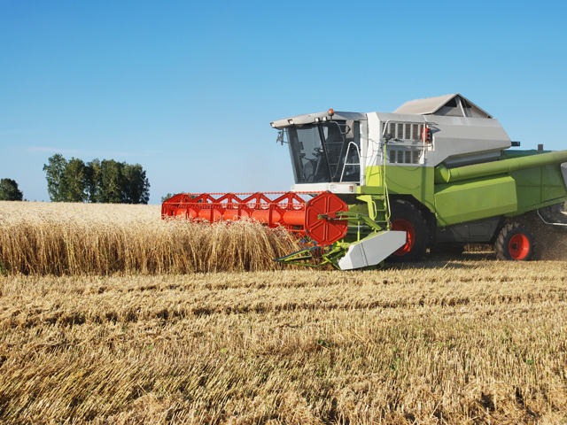 Pariul pe cereale: agricultorii din România au majorat cu peste 60% producţia de cereale pentru boabe