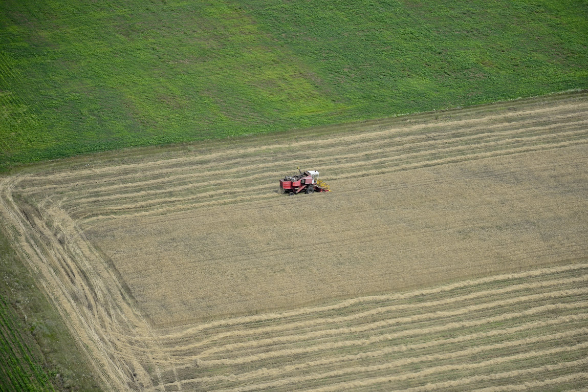 Peste 700.000 de fermieri români au până în 5 hectare de teren agricol, iar majoritatea vor să renunţe la el