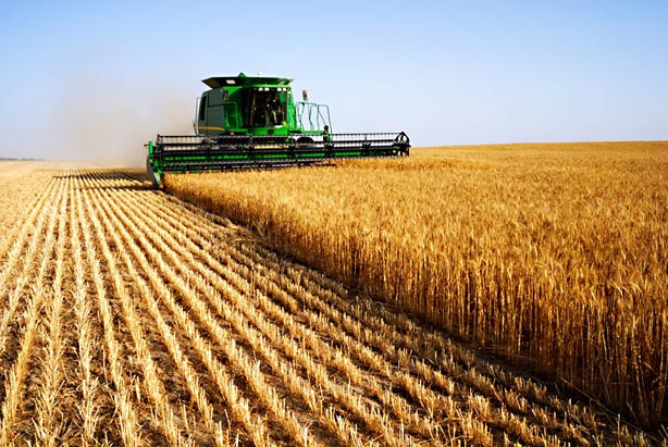 România este singura fără Bursă între cei mai mari cinci producători de cereale din UE