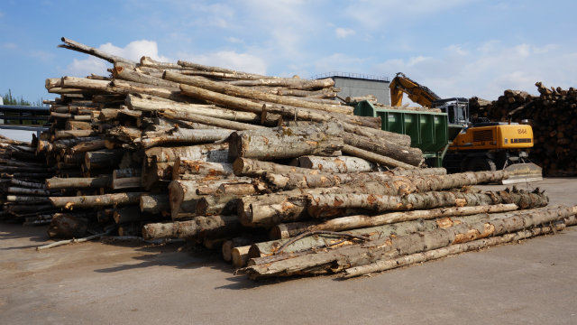 Topul celor mai mari exportatori din industria lemnului