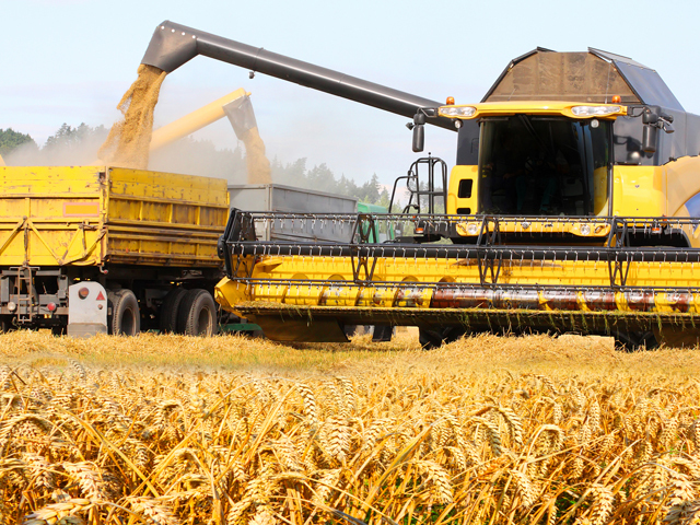 Amânarea unor contracte din agrobusiness reduce la jumătate estimările de creştere ale unui furnizor local