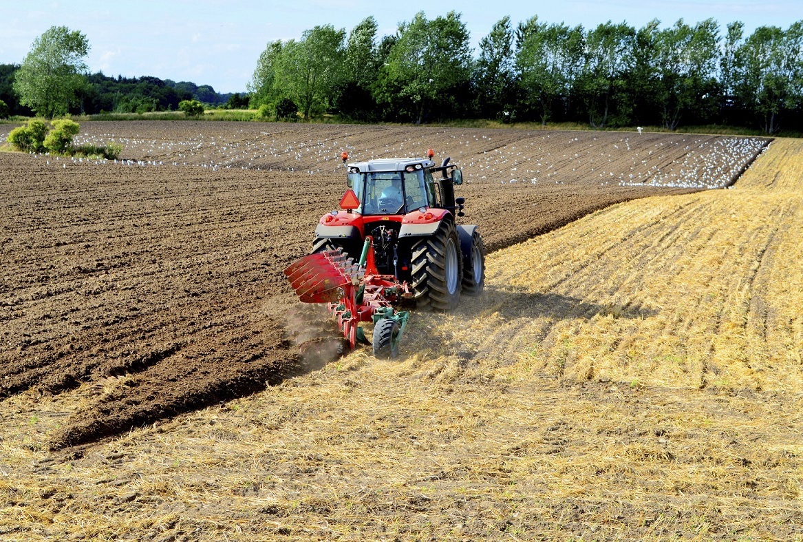 Studiu Parlamentul European: 40% din terenurile agricole din România aparţin investitorilor străini