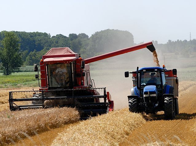 Opt cooperative agricole româneşti, care exploatează împreună 150.000 de hectare de teren agricol, şi-au reunit forţele sub o nouă organizaţie