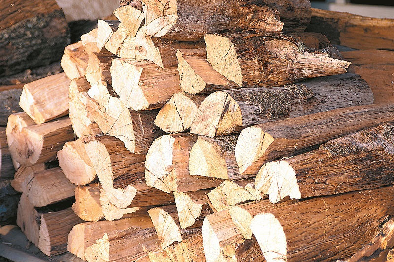Ce se întâmplă cu preţul lemnului de foc în 2018? Un pădurar din Arad: Primăvara şi toamna, când ai nevoie de lemn, se scumpeşte cu 10%