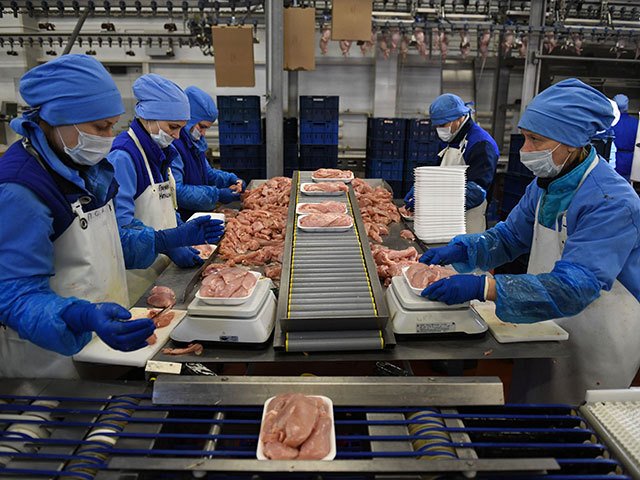 Viruşii pun stăpânire pe exporturile de carne şi pe preţurile din Europa de Est: în Ungaria se scumpeşte pâinea din cauza pestei porcine, iar mai multe state au interzis importurile de carne de pasăre din regiune