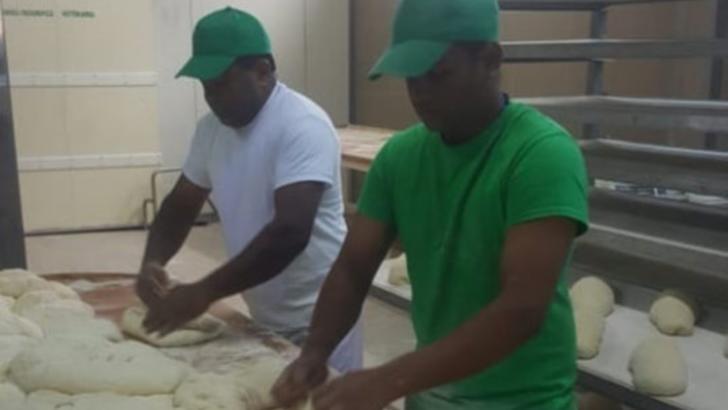 Brutăria din Ditrău, deţinută de AGM Eco Corporate,...