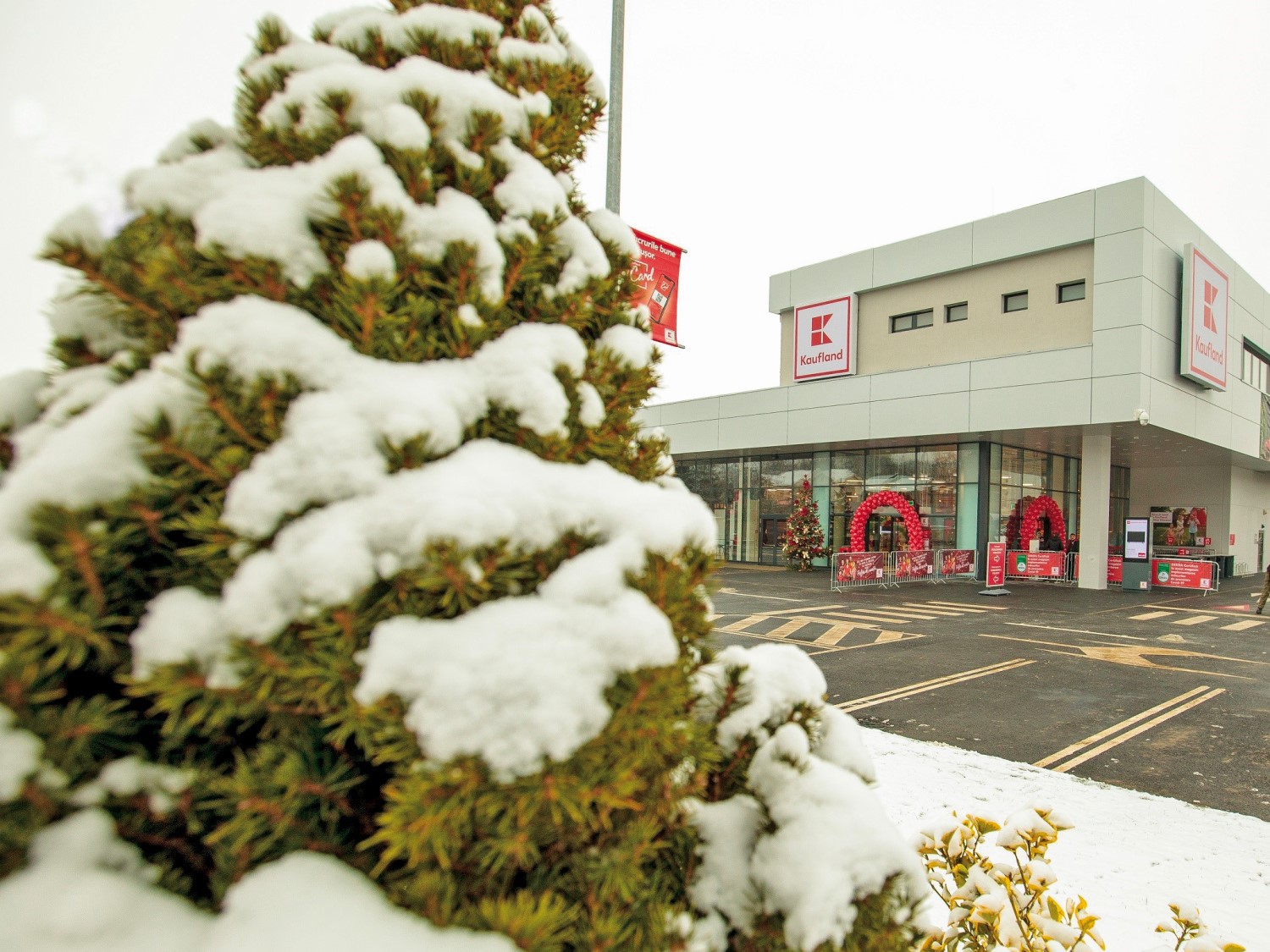 Kaufland a deschis 10 magazine de la începutul anului, cel mai alert ritm de după 2014