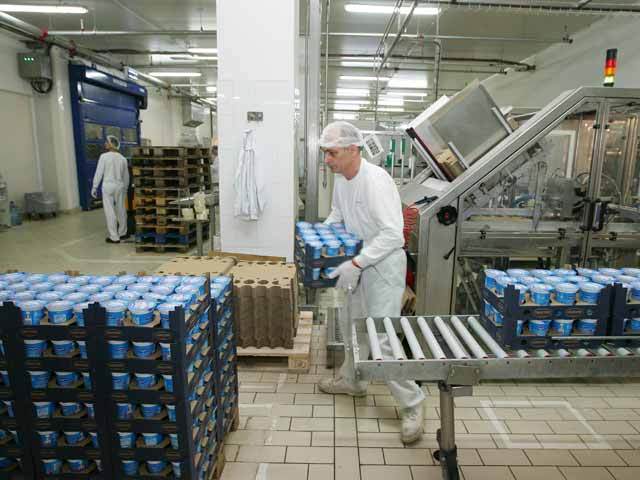 Cinci companii străine fac regulile pe piaţa de 1 mld. lei a iaurturilor. Unele dintre cele mai puternice branduri din portofoliile acestor grupuri străine sunt însă româneşti