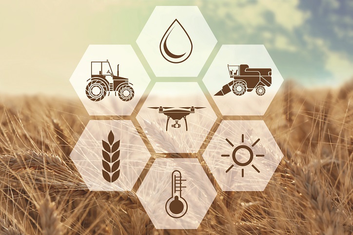 Agricultura în era schimbărilor climatice. Cum poate fi combătută încălzirea globală şi ce investiţii face România pentru a nu-şi pierde statutul de important jucător agricol?