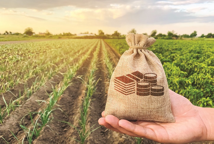Vin banii europeni nerambursabili pentru agricultură: din 15 iulie se deschide o linie pentru investiţii în procesarea şi promovarea produselor agricole