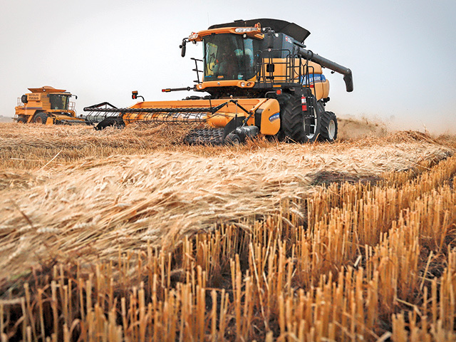 Războiul din Ucraina. Oficial ucrainean: Exporturile de cereale din Ucraina prin Polonia şi România se confruntă cu blocaje