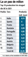 Grafic: Top 10 producători de struguri din UE în 2021