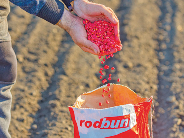 Rodbun Grup, una dintre cele mai mari afaceri din agricultură, a luat un credit de 30 mil. lei de la CEC Bank pentru a dezvolta soiuri de grâu, porumb şi floarea-soarelui mai rezistente la secetă
