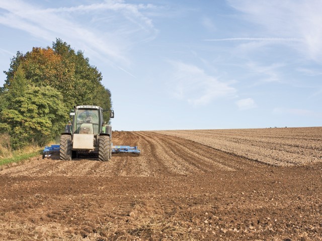 ZF Agropower. Schimbarea climatică schimbă agricultura.  Radu Soldubanu, fermier din Satu Mare: Cultura de sorg, mai tolerantă la secetă, ar putea înlocui cu brio cultura de porumb