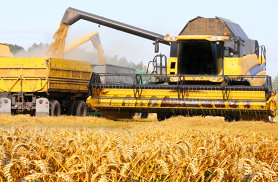 Ministerul Agriculturii: Producţia de cereale din anul agricol 2022 a fost de 19,18 mil. tone. Producţia de grâu a depăşit-o pe cea de porumb după 32 de ani