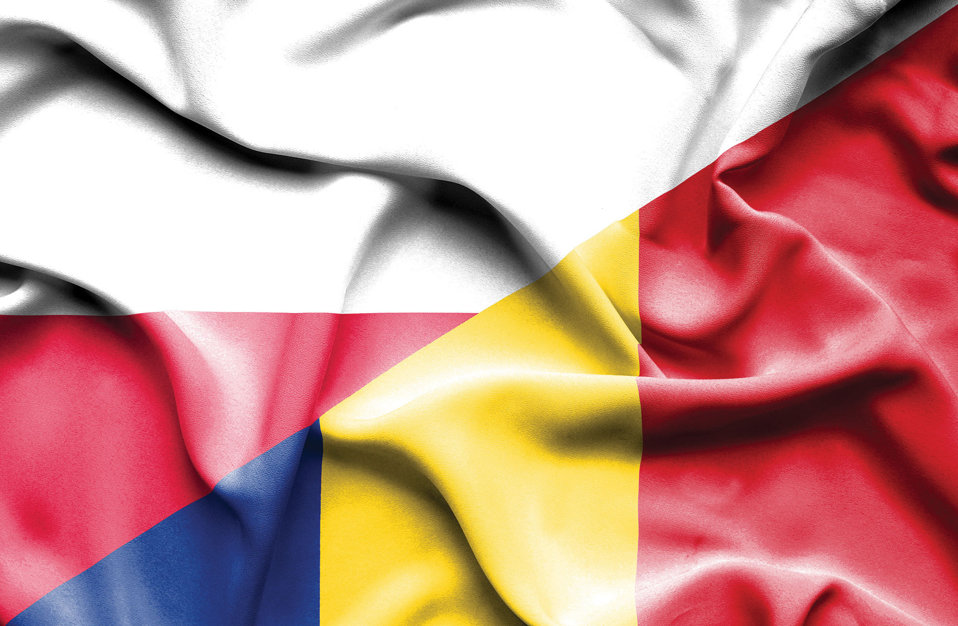 Profilul businessului polonez în România: Este concentrat în Bucureşti - Ilfov şi cu activitate preponderent în comerţ