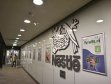 Nestlé investeşte 141,3 milioane de euro pentru a-şi extinde fabrica de hrană pentru animale din Ungaria
