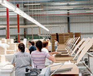 Fabrica de mobilă Ecolor din Jucu, judeţul Cluj, a trecut pe pierdere în 2025, la afaceri de 364,9 mil. lei