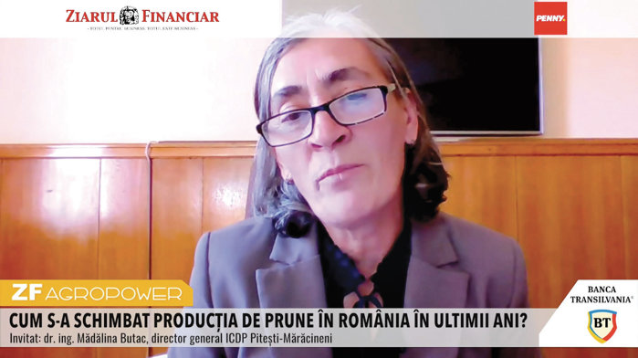 ZF Agropower. România este primul producător de prune din Europa, însă aproape 80% din recoltă merge la ţuică. Mădălina Butac, ICDP Piteşti-Mărăcineni: „Ar fi important ca prunele să meargă şi către alte direcţii, către magiun, gem, compot“