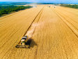 Urmează conferinţa ZF AGROBUSINESS & FOOD SUMMIT 2026. IMM-urile ţin agricultura: firmele micro, mici şi mijlocii fac aproape 88% din afacerile de 55 mld. lei ale fermelor