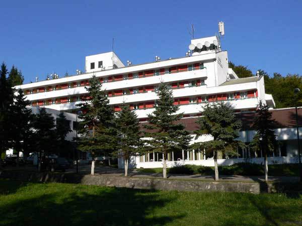 Hotelul Moneasa din Arad, deţinut de fostul deputat Nicoară Creţ, scos la vânzare cu 5 milioane de euro