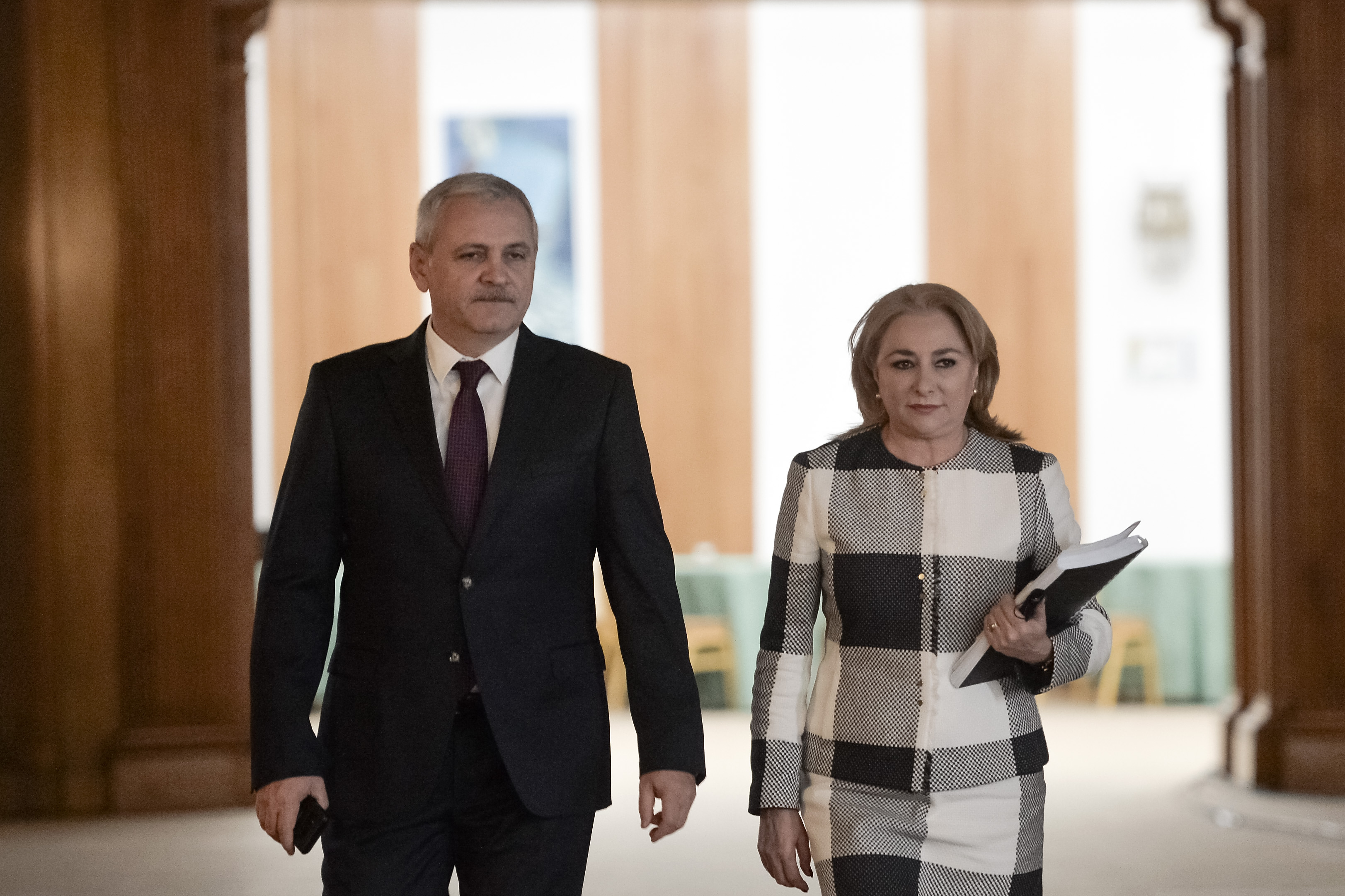 Preşedintele PSD Liviu Dragnea: În CExN vor fi propuneri privind încetarea activităţii unor secretari de stat