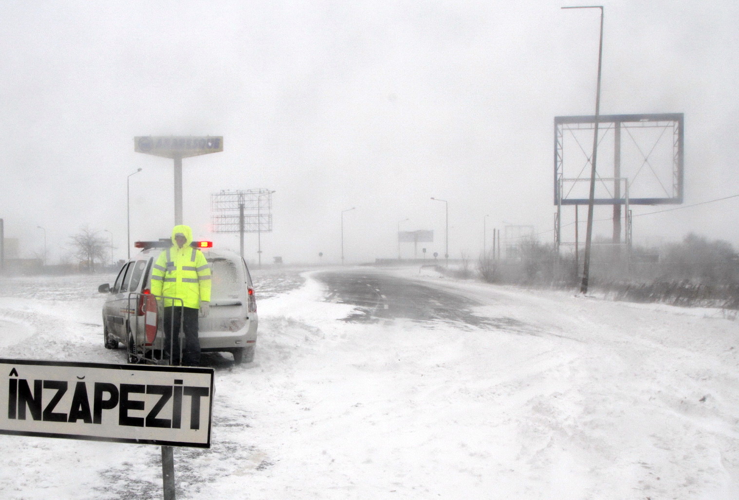 Arad: Sălciile energetice plantate pentru a proteja şoselele de zăpadă, distruse de agricultori