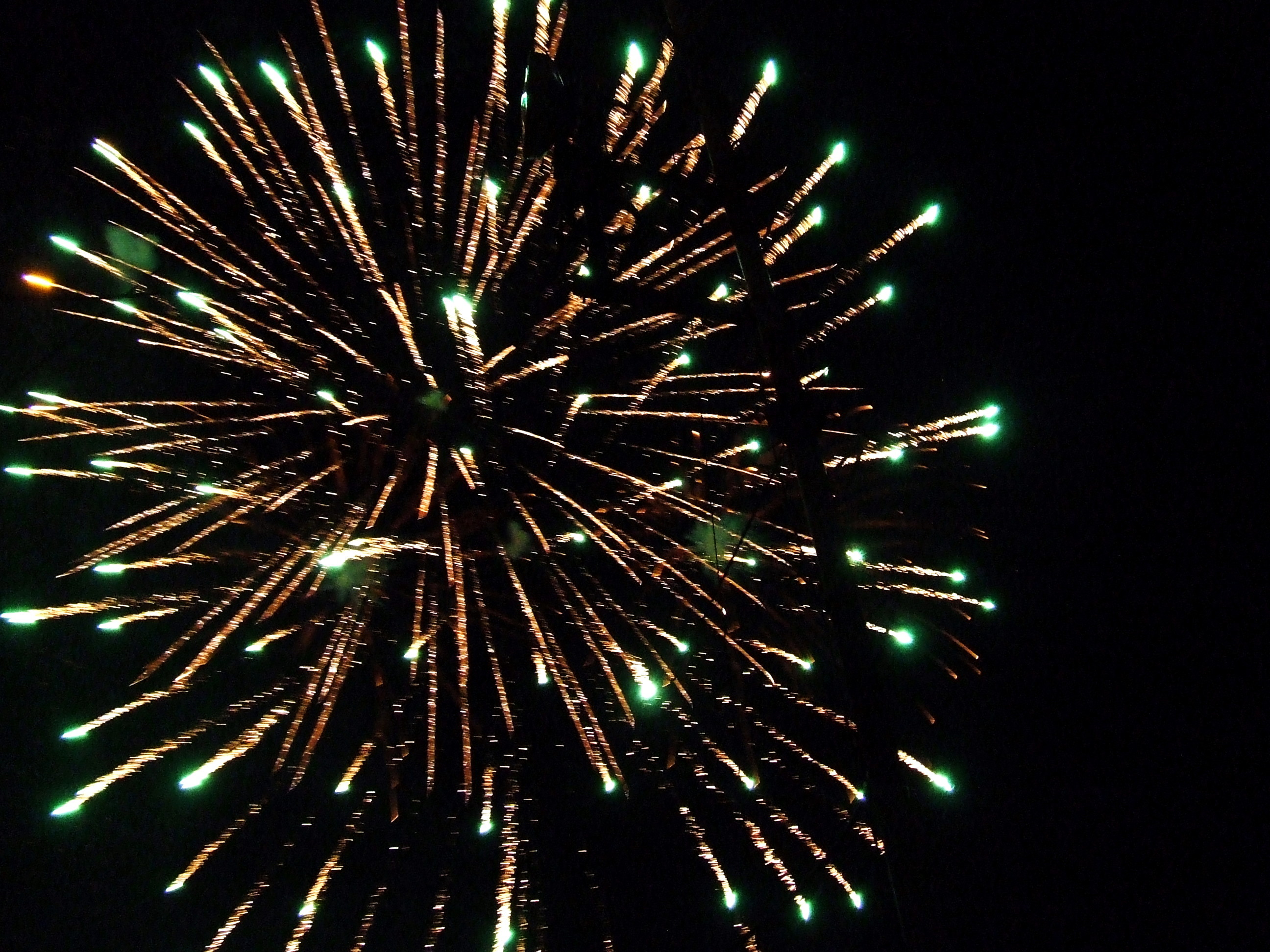 Artificiile folosite la concertul Goodbye to Gravity din Colectiv, interzise în spaţii închise