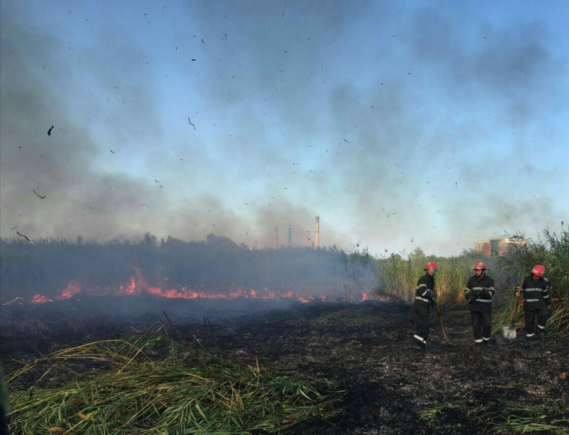 Un alt incendiu a izbucnit în Delta Văcăreşti